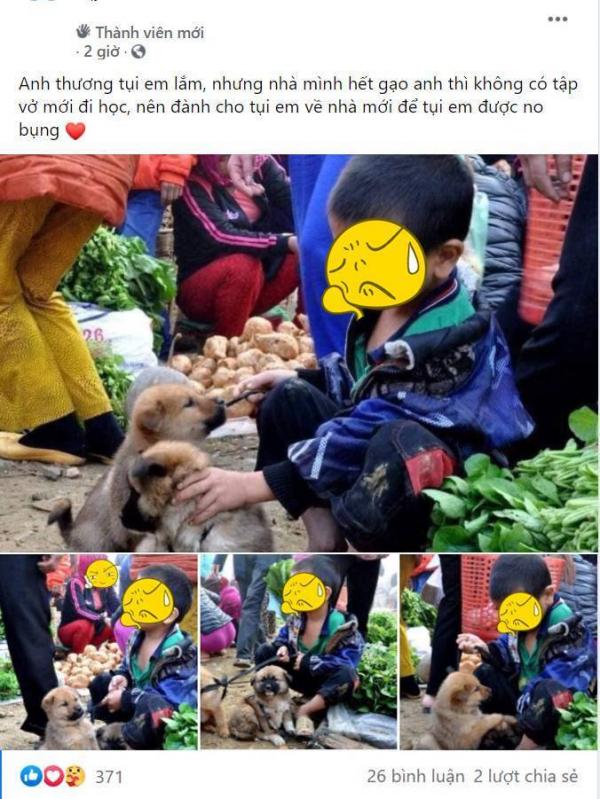 Cậu bé ngồi ôm hai chú chó nhỏ giữa phiên chợ vùng cao