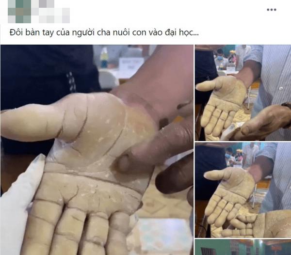 Thương lắm đôi bàn tay cha vất vả nuôi con: Bao nhiêu chai sần mưa nắng là bấy nhiêu yêu thương hy vọng